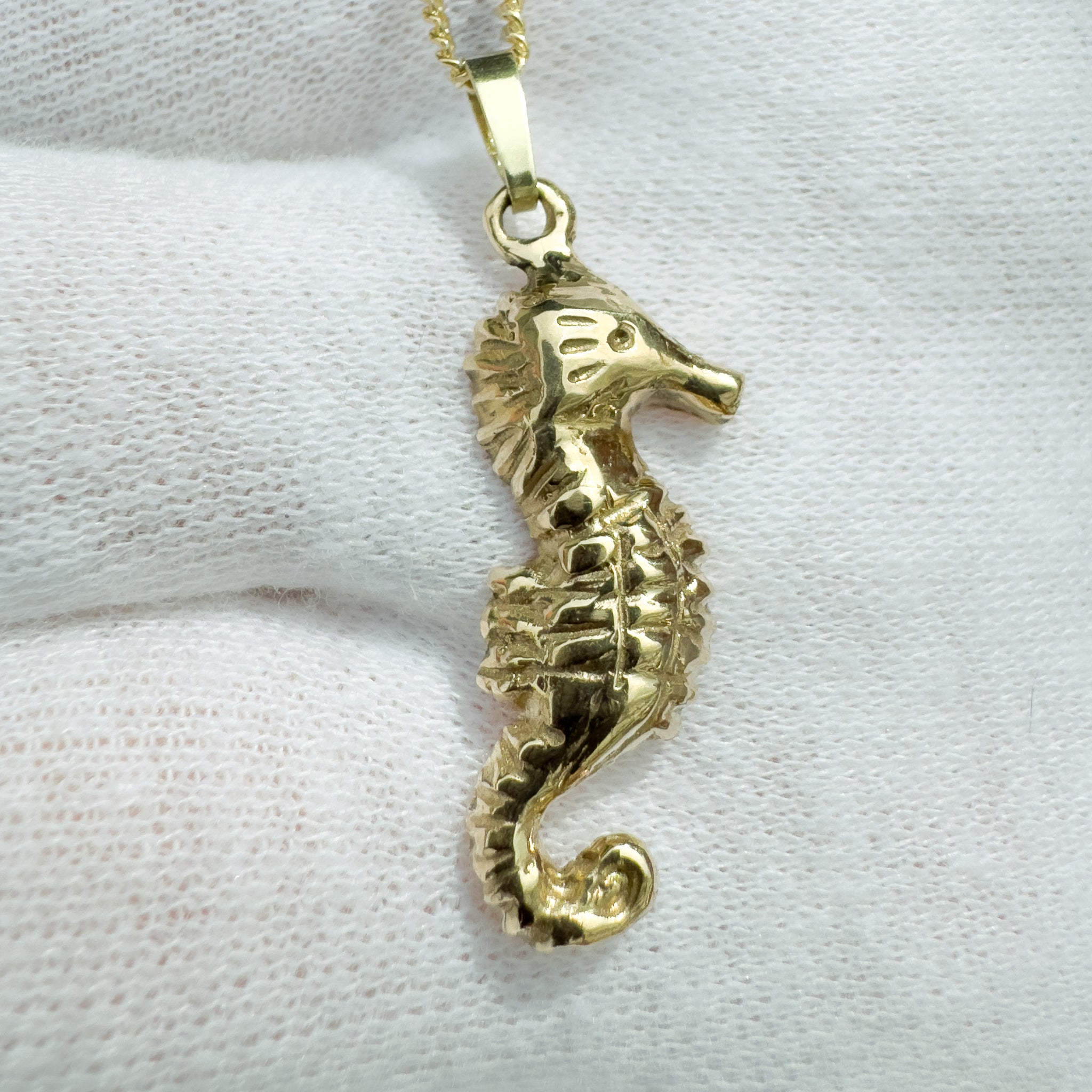 Seahorse