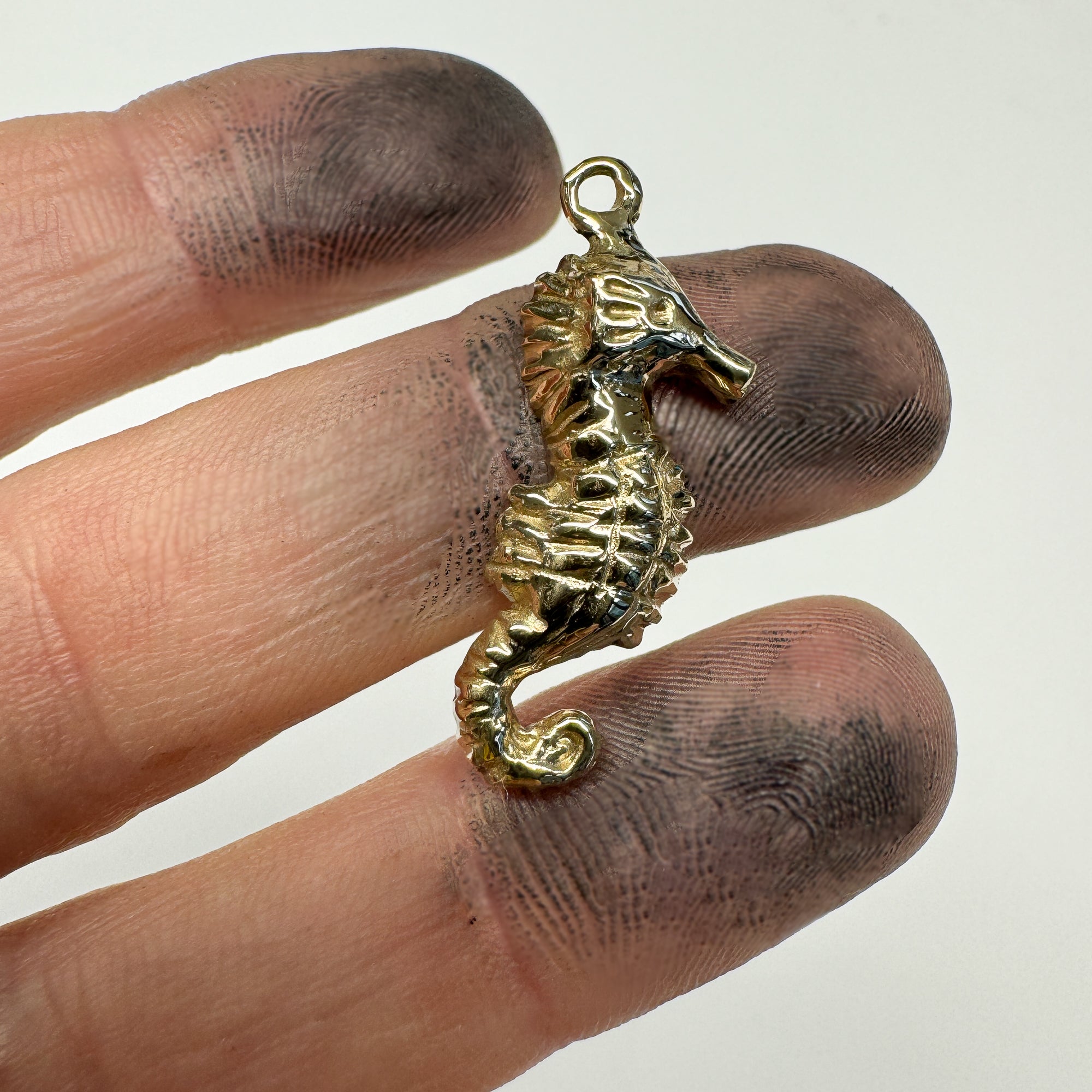 Seahorse